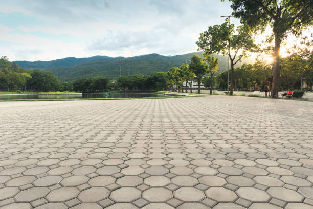 Best Concrete Paver Driveway  in Terrell, TX
