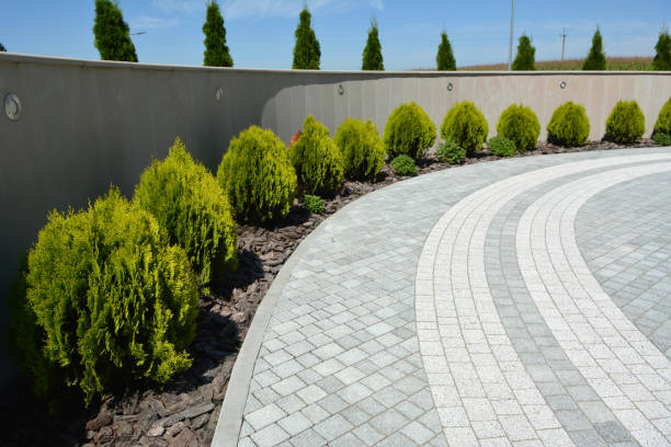 Best Driveway Pavers Cost  in Terrell, TX